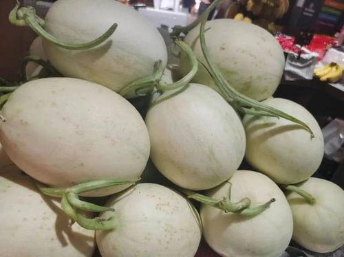 免费吃瓜链接黄,揭秘免费吃瓜链接背后的黄生之谜  第1张