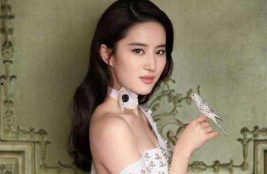 刘信达爆料刘亦菲视频,刘信达爆料背后真相揭晓  第2张